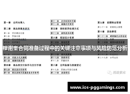 穆谢奎合同准备过程中的关键注意事项与风险防范分析