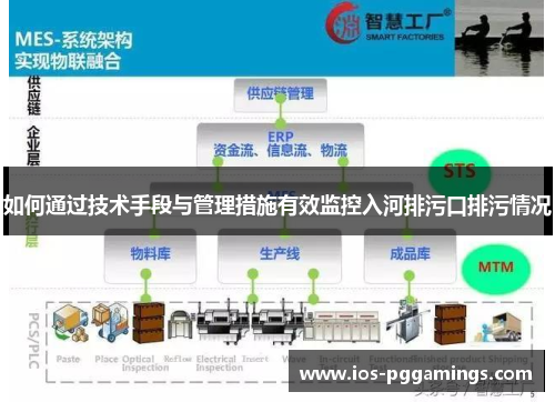 如何通过技术手段与管理措施有效监控入河排污口排污情况