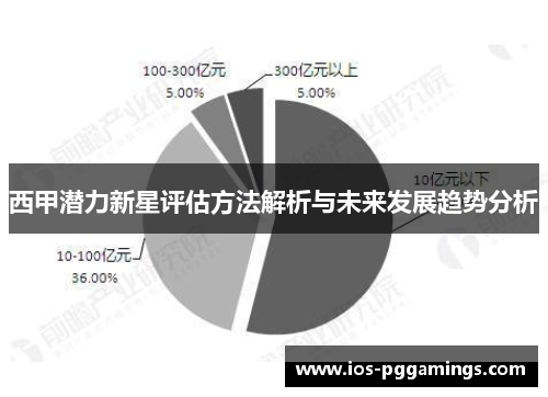 西甲潜力新星评估方法解析与未来发展趋势分析