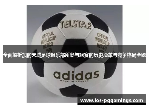 全面解析加的夫城足球俱乐部所参与联赛的历史沿革与竞争格局全貌 全面解析加的夫城足球俱乐部所参与联赛的历史沿革与竞争格局全貌