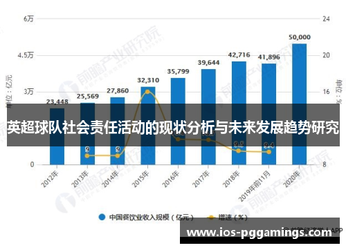 英超球队社会责任活动的现状分析与未来发展趋势研究