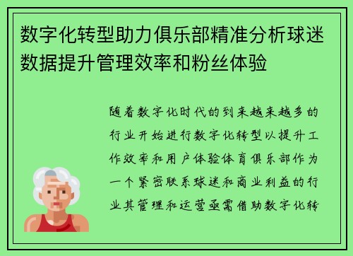 数字化转型助力俱乐部精准分析球迷数据提升管理效率和粉丝体验